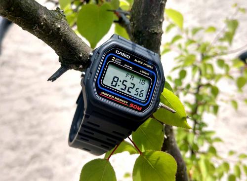 Ни один настоящий поход не сможет обойтись без олдскульных часов CASIO W-59-1VQES на ремешке из мягкого полимера.