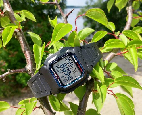 Хорошая читабельность крупного дисплея делает часы CASIO W-800H-1AVES универсальными для всех возрастных групп.