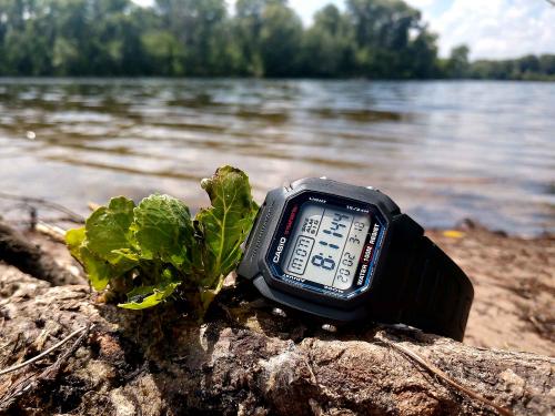 Водонепроницаемость 100 метров позволит использовать часы CASIO W-800H-1AVES при плавании и повседневной жизни.